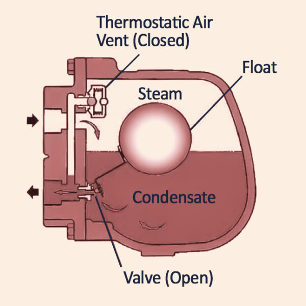 Steam Traps - Process Phase